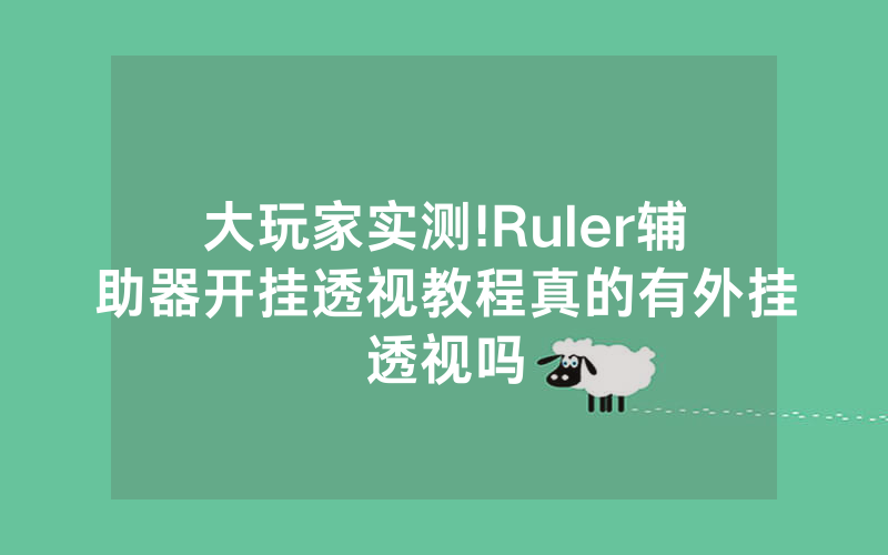 大玩家实测!Ruler辅助器开挂透视教程真的有外挂透视吗