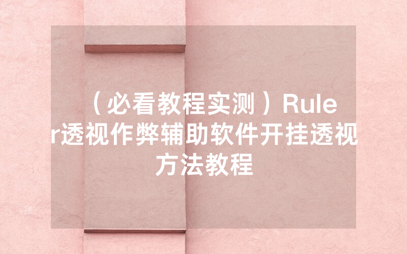 （必看教程实测）Ruler透视作弊辅助软件开挂透视方法教程
