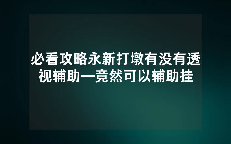 必看攻略永新打墩有没有透视辅助—竟然可以辅助挂