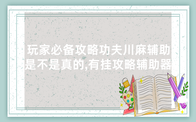 玩家必备攻略功夫川麻辅助是不是真的,有挂攻略辅助器