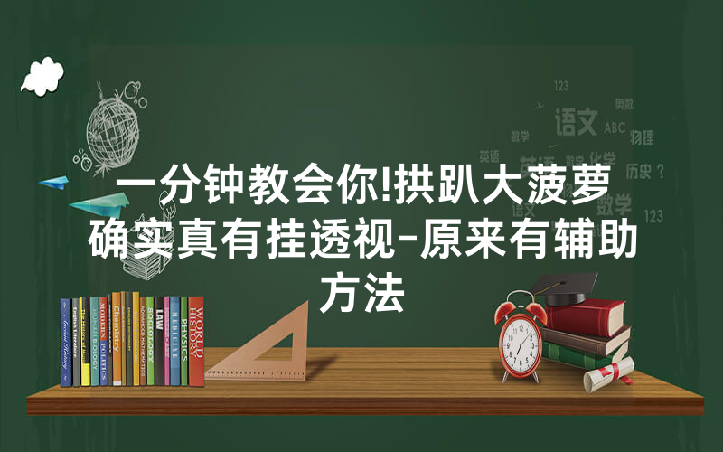 一分钟教会你!拱趴大菠萝确实真有挂透视-原来有辅助方法