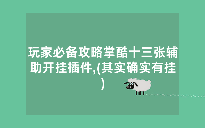 玩家必备攻略掌酷十三张辅助开挂插件,(其实确实有挂)