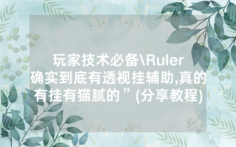 玩家技术必备\Ruler确实到底有透视挂辅助,真的有挂有猫腻的”(分享教程)