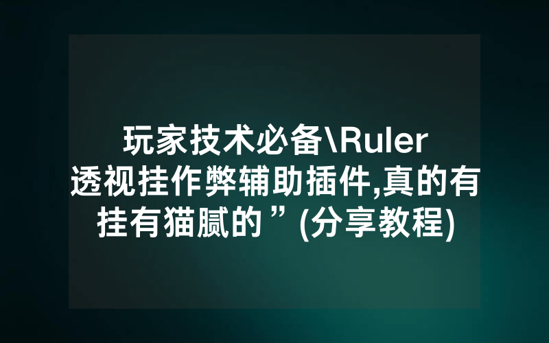 玩家技术必备\Ruler透视挂作弊辅助插件,真的有挂有猫腻的”(分享教程)