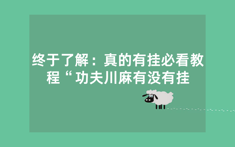 终于了解：真的有挂必看教程“功夫川麻有没有挂
