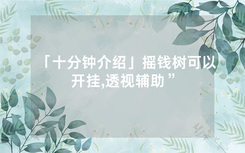 「十分钟介绍」摇钱树可以开挂,透视辅助”