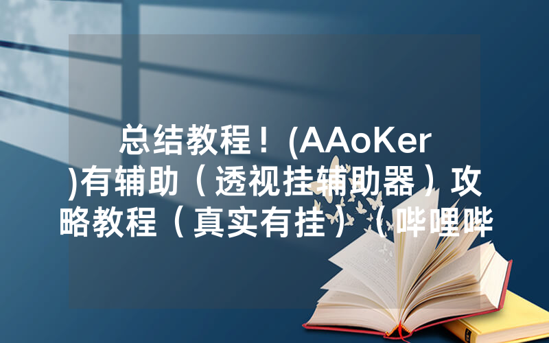 总结教程！(AAoKer)有辅助（透视挂辅助器）攻略教程（真实有挂）（哔哩哔哩）