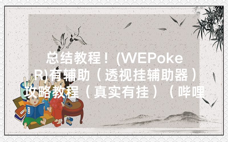 总结教程！(WEPokeR)有辅助（透视挂辅助器）攻略教程（真实有挂）（哔哩哔哩）