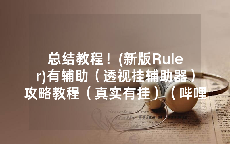 总结教程！(新版Ruler)有辅助（透视挂辅助器）攻略教程（真实有挂）（哔哩哔哩）