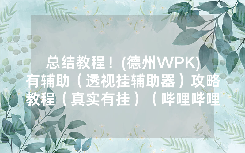 总结教程！(德州WPK)有辅助（透视挂辅助器）攻略教程（真实有挂）（哔哩哔哩）