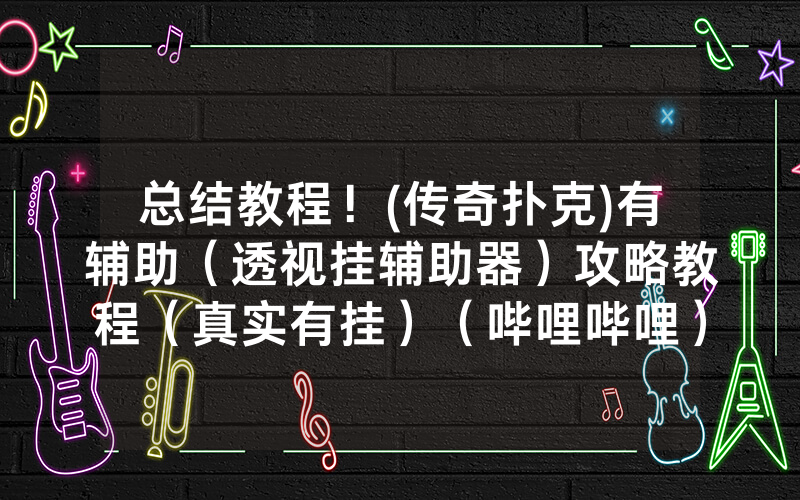 总结教程！(传奇扑克)有辅助（透视挂辅助器）攻略教程（真实有挂）（哔哩哔哩）