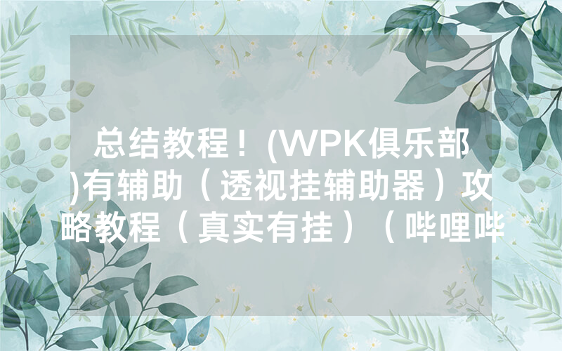总结教程！(WPK俱乐部)有辅助（透视挂辅助器）攻略教程（真实有挂）（哔哩哔哩）
