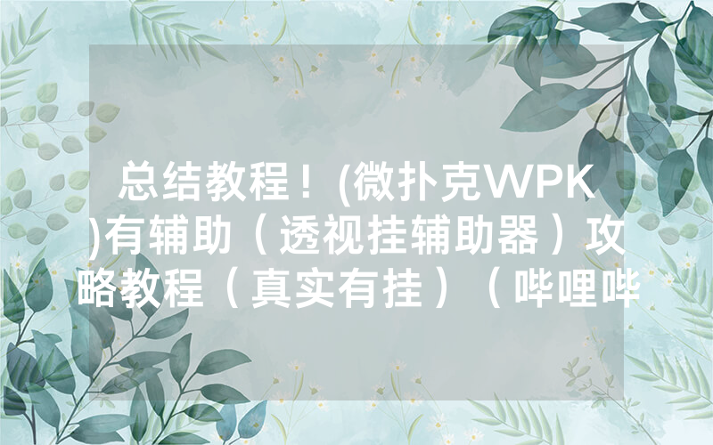 总结教程!(微扑克WPK)有辅助(透视挂辅助器)攻略教程(真实有挂)(哔哩哔哩)