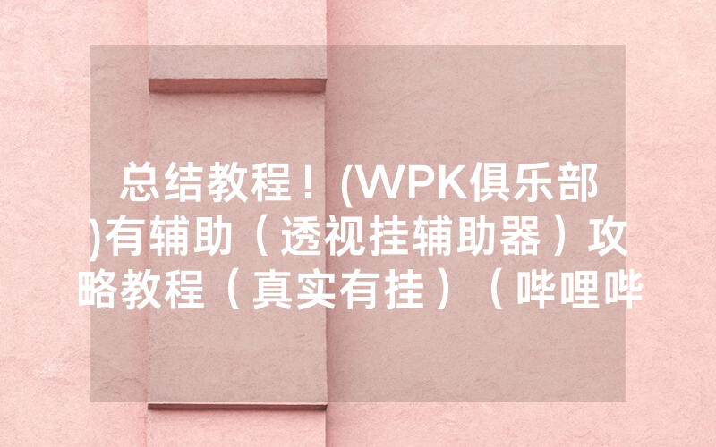 总结教程！(WPK俱乐部)有辅助（透视挂辅助器）攻略教程（真实有挂）（哔哩哔哩）