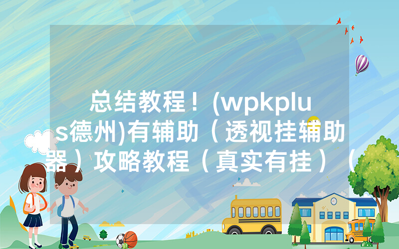 总结教程！(wpkplus德州)有辅助（透视挂辅助器）攻略教程（真实有挂）（哔哩哔哩）