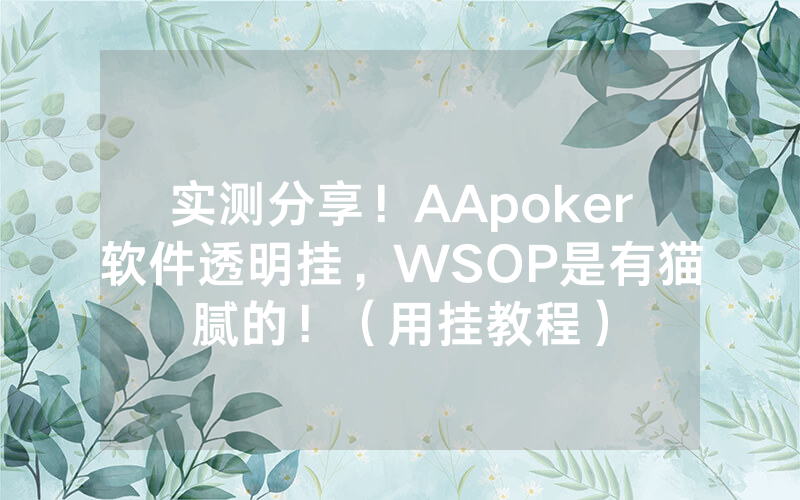 实测分享！AApoker软件透明挂，WSOP是有猫腻的！（用挂教程）