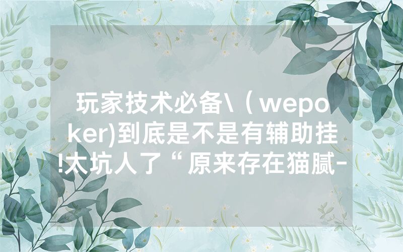 玩家技术必备\（wepoker)到底是不是有辅助挂!太坑人了“原来存在猫腻-知乎