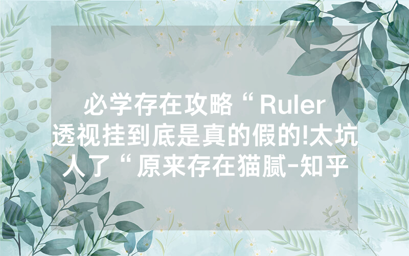必学存在攻略“Ruler透视挂到底是真的假的!太坑人了“原来存在猫腻-知乎