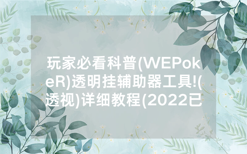 玩家必看科普(WEPokeR)透明挂辅助器工具!(透视)详细教程(2022已更新)(哔哩哔哩)