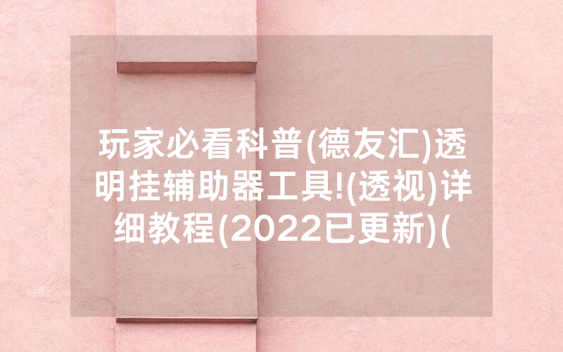 玩家必看科普(德友汇)透明挂辅助器工具!(透视)详细教程(2022已更新)(哔哩哔哩)
