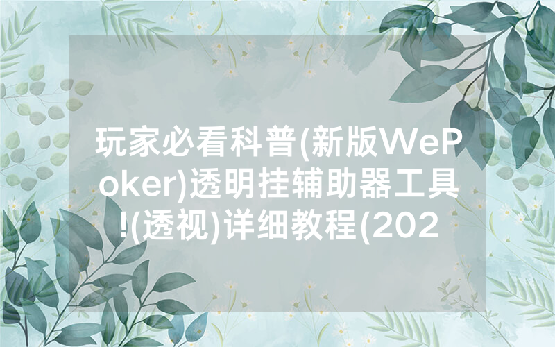 玩家必看科普(新版WePoker)透明挂辅助器工具!(透视)详细教程(2022已更新)(哔哩哔哩)