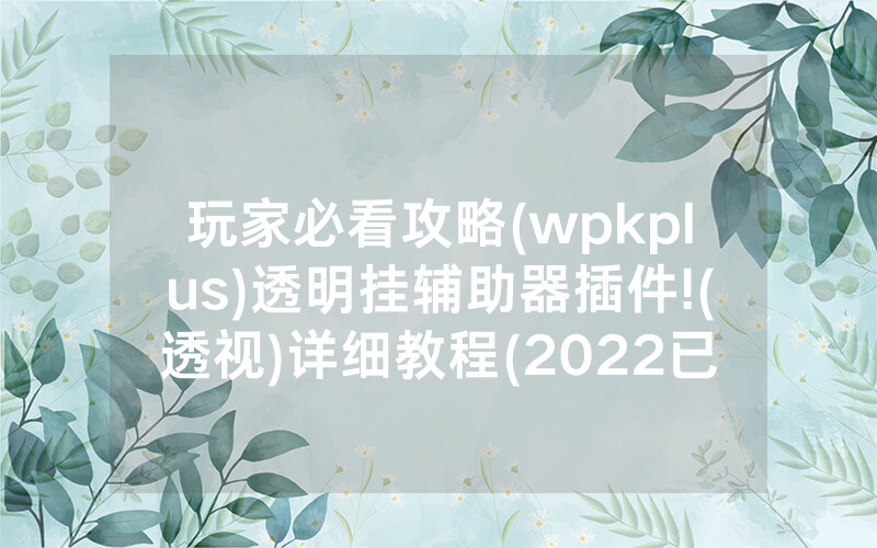 玩家必看攻略(wpkplus)透明挂辅助器插件!(透视)详细教程(2022已更新)(哔哩哔哩)