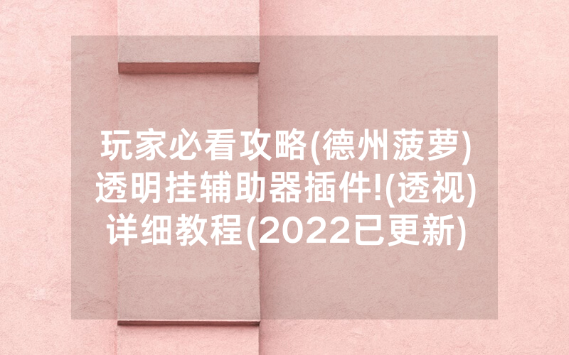 玩家必看攻略(德州菠萝)透明挂辅助器插件!(透视)详细教程(2022已更新)(哔哩哔哩)