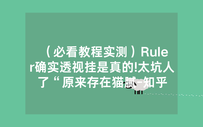 （必看教程实测）Ruler确实透视挂是真的!太坑人了“原来存在猫腻-知乎