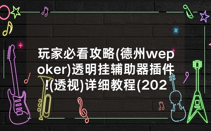 玩家必看攻略(德州wepoker)透明挂辅助器插件!(透视)详细教程(2022已更新)(哔哩哔哩)