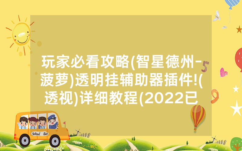 玩家必看攻略(智星德州-菠萝)透明挂辅助器插件!(透视)详细教程(2022已更新)(哔哩哔哩)