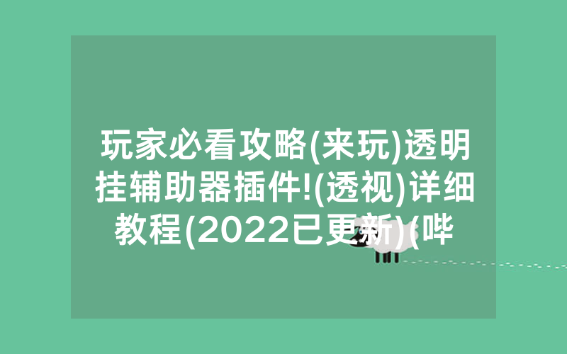 玩家必看攻略(来玩)透明挂辅助器插件!(透视)详细教程(2022已更新)(哔哩哔哩)