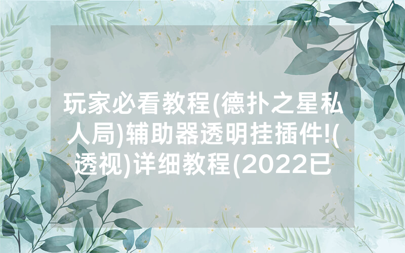 玩家必看教程(德扑之星私人局)辅助器透明挂插件!(透视)详细教程(2022已更新)(哔哩哔哩)
