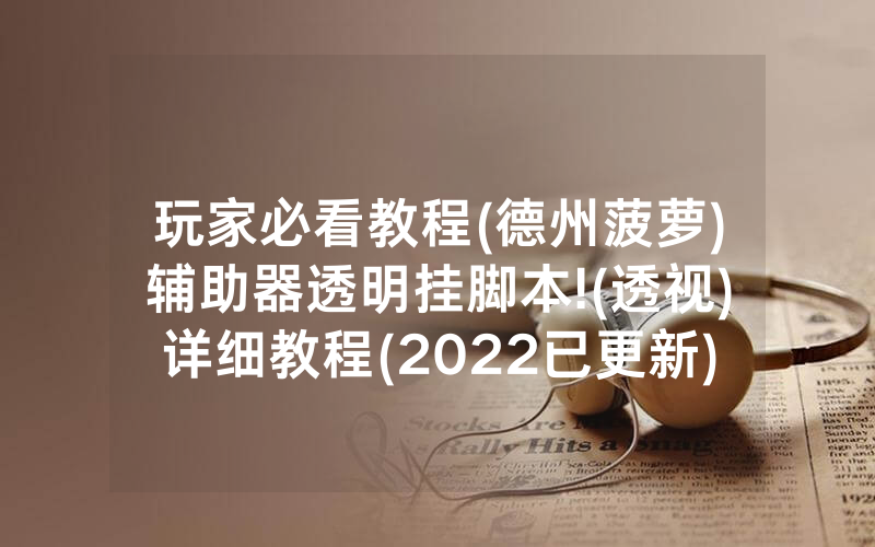 玩家必看教程(德州菠萝)辅助器透明挂脚本!(透视)详细教程(2022已更新)(哔哩哔哩)