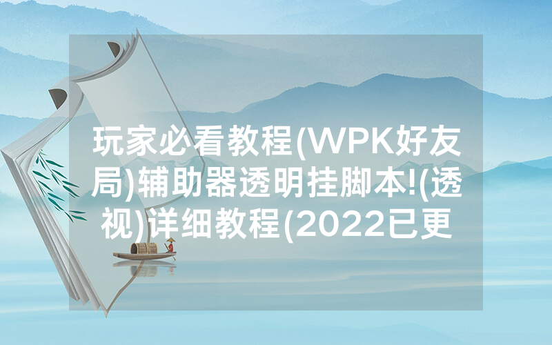 玩家必看教程(WPK好友局)辅助器透明挂脚本!(透视)详细教程(2022已更新)(哔哩哔哩)