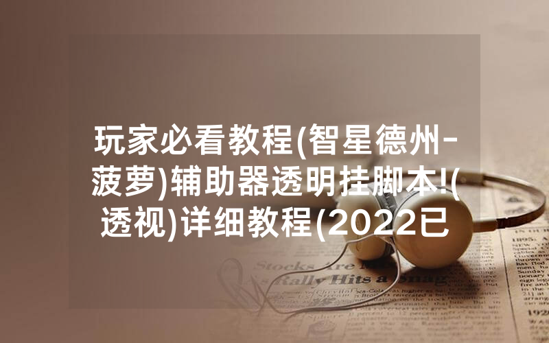 玩家必看教程(智星德州-菠萝)辅助器透明挂脚本!(透视)详细教程(2022已更新)(哔哩哔哩)
