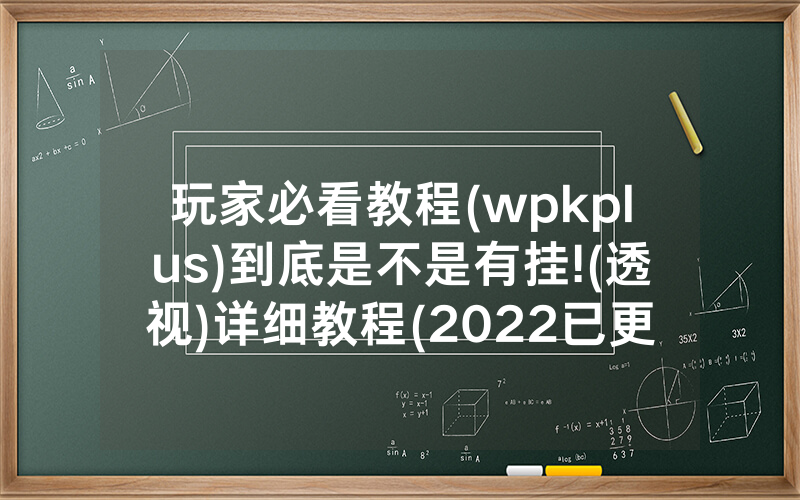 玩家必看教程(wpkplus)到底是不是有挂!(透视)详细教程(2022已更新)(哔哩哔哩)