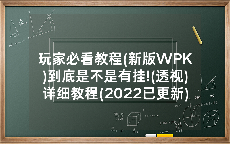 玩家必看教程(新版WPK)到底是不是有挂!(透视)详细教程(2022已更新)(哔哩哔哩)