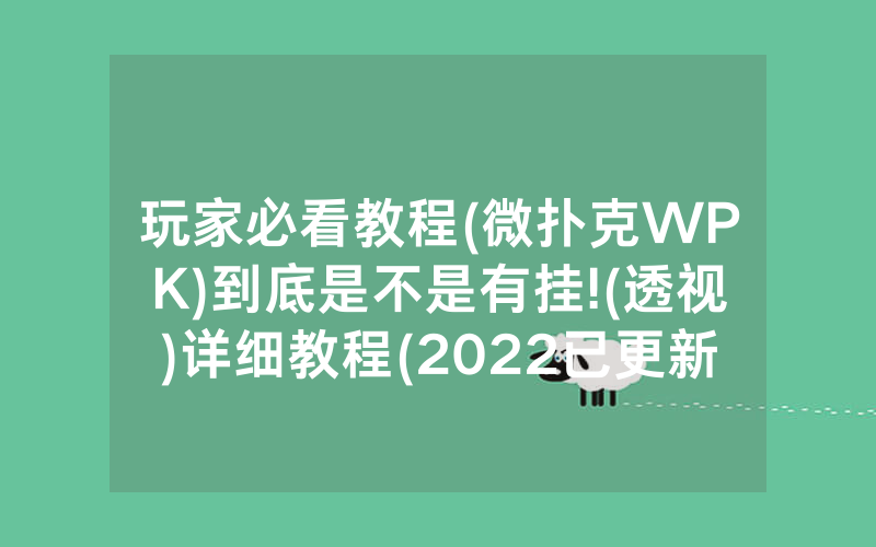 玩家必看教程(微扑克WPK)到底是不是有挂!(透视)详细教程(2022已更新)(哔哩哔哩)