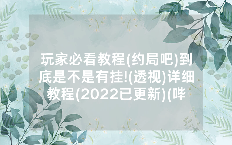 玩家必看教程(约局吧)到底是不是有挂!(透视)详细教程(2022已更新)(哔哩哔哩)