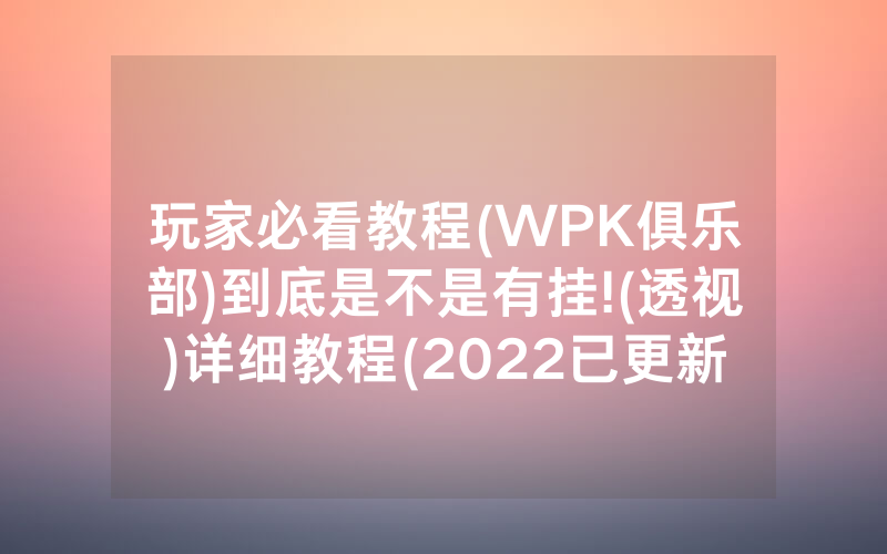 玩家必看教程(WPK俱乐部)到底是不是有挂!(透视)详细教程(2022已更新)(哔哩哔哩)