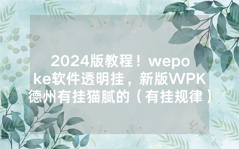 2024版教程！wepoke软件透明挂，新版WPK德州有挂猫腻的（有挂规律）