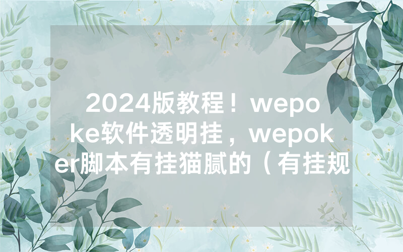 2024版教程！wepoke软件透明挂，wepoker脚本有挂猫腻的（有挂规律）