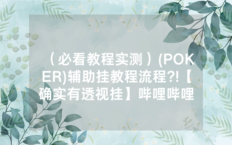 （必看教程实测）(POKER)辅助挂教程流程?!【确实有透视挂】哔哩哔哩
