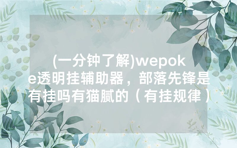 (一分钟了解)wepoke透明挂辅助器，部落先锋是有挂吗有猫腻的（有挂规律）