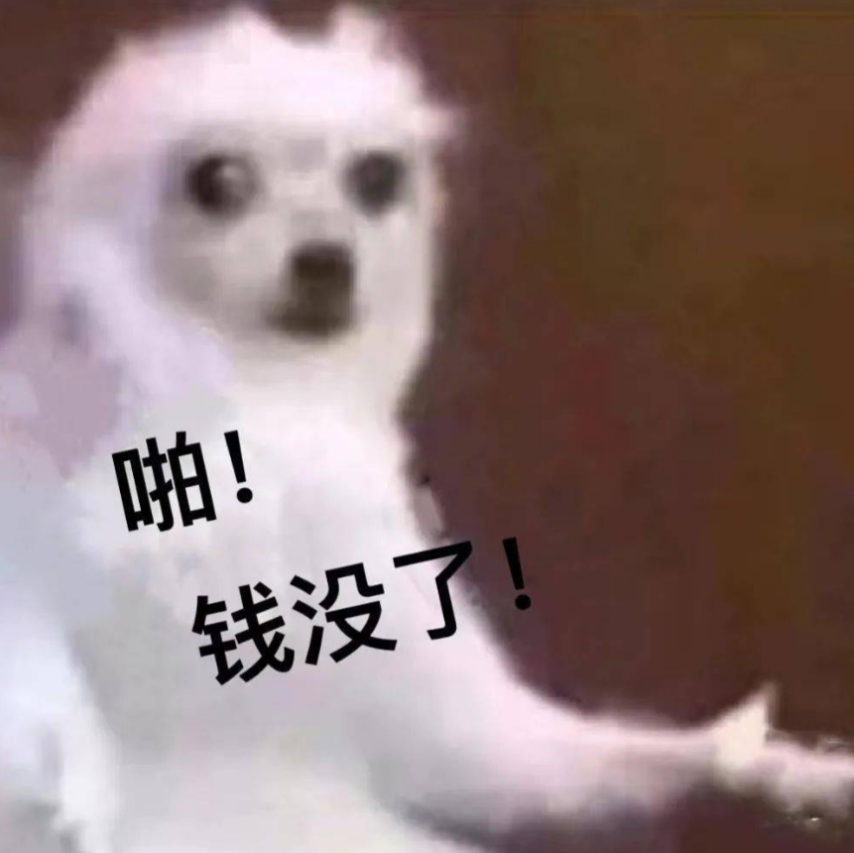 图片 13.png