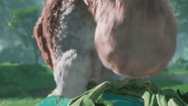 GIF2.gif