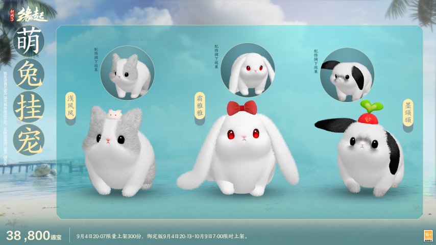 图片5.jpg